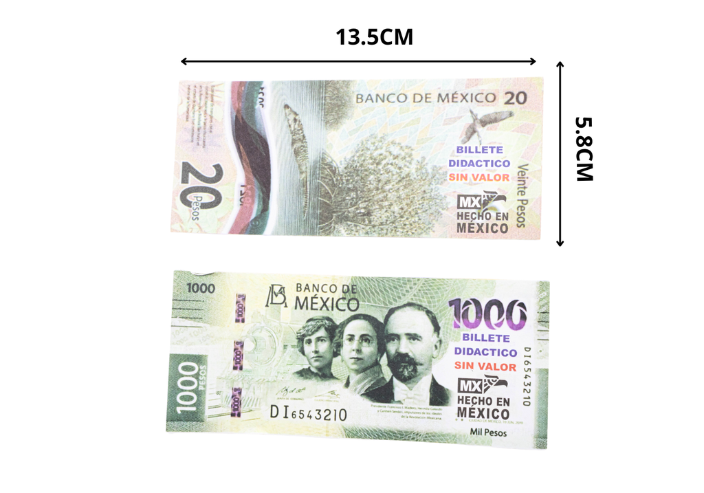 MONEDAS Y BILLETES METALICO DIDACTICA