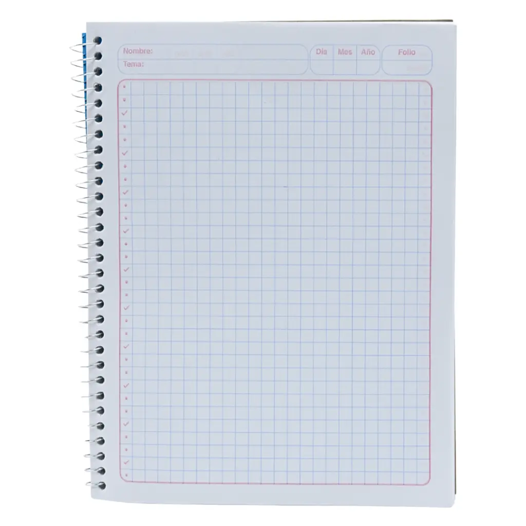 carruselllll (2).webp