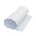 cartulina.webp