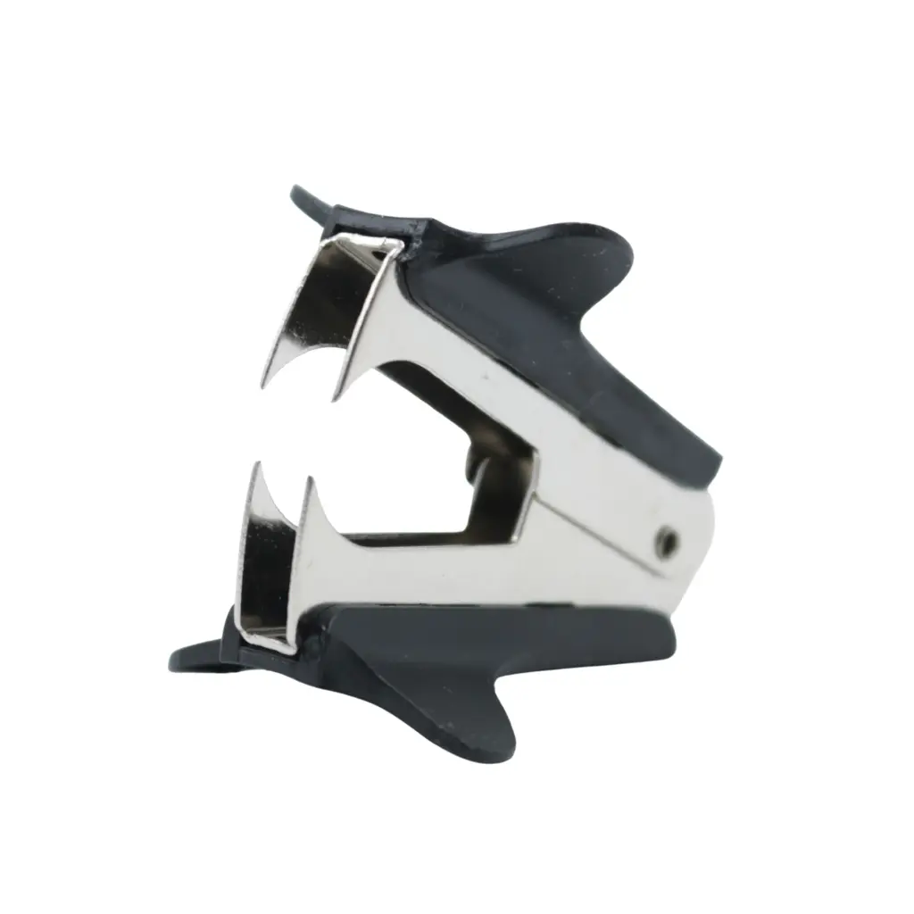 carrusel (12).webp