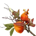 33.webp