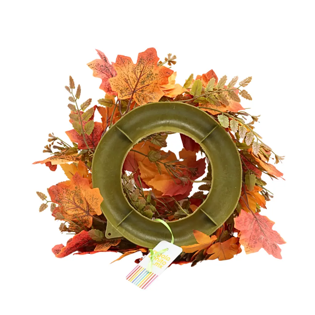 37.webp