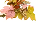42.webp