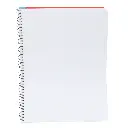 CUADERNO PROF BLANCO 100H ROCA 5000 (2).webp