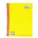 CUADERNO PROF DR 100H ROCA.webp