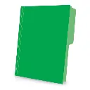 CARPETA CARTA VERDE PRINTECK.webp