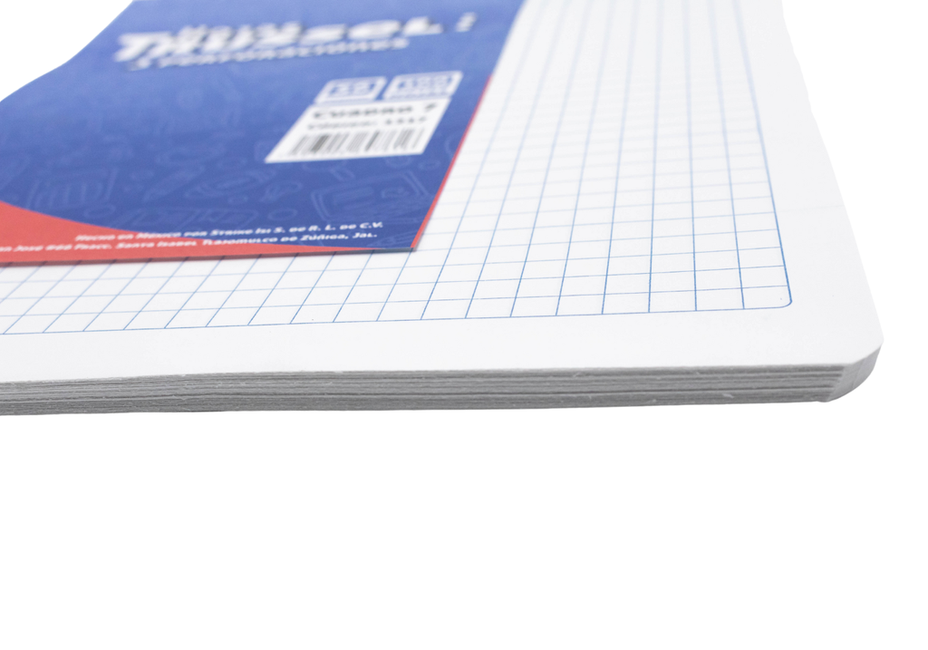 REPUESTO CARPETA CTA C7 100H 56GR 1217 TRUSSEL