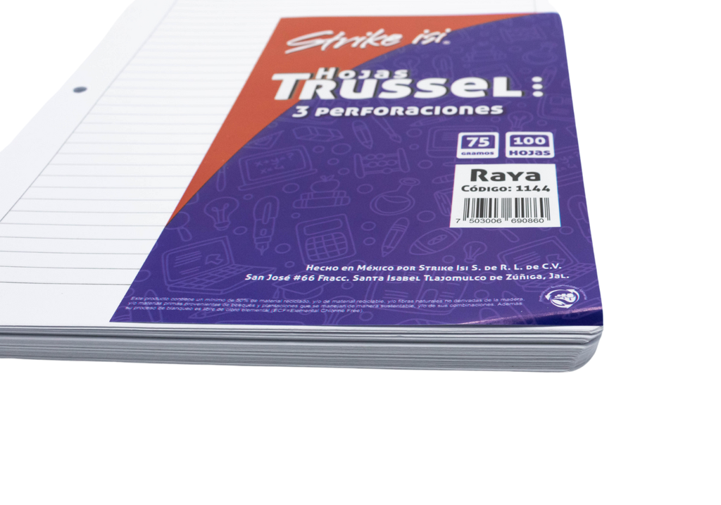 REPUESTO CARPETA CTA RY 100H 75GR 1144 TRUSSEL
