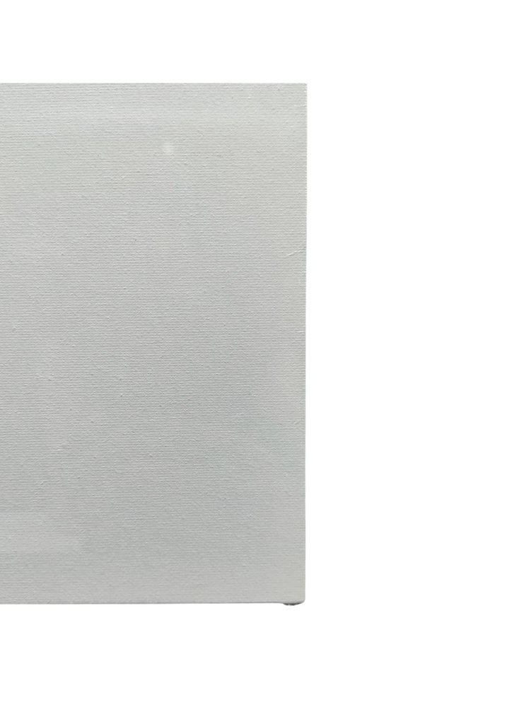 BASTIDOR PINTO 20X25 CARTON