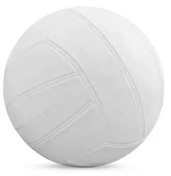 BALON VOLEIBOL #5 GASER