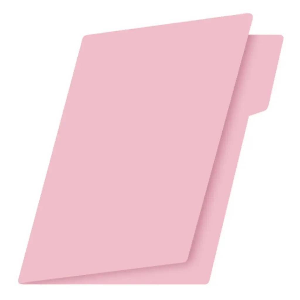 CARPETA OFICIO ROSA FORTEC