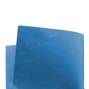 CARTONCILLO AZUL
