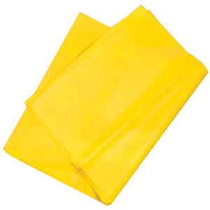 [0065] CHINA AMARILLO HUEVO 50X75 03