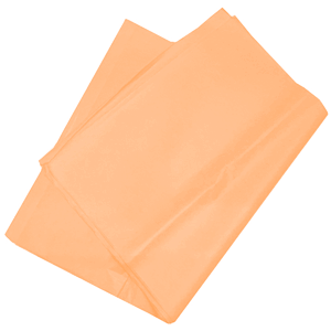 [0087] CHINA SALMON 50X75 09