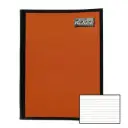 CUADERNO PROF COSIDO RY 100H ROCA 4102