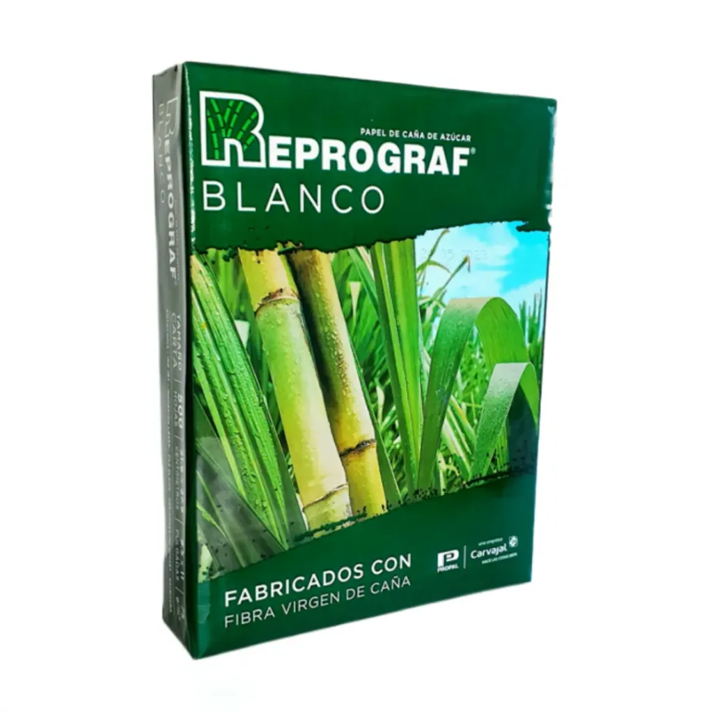 HOJA BLANCA CARTA REPROGRAF C500 75GR