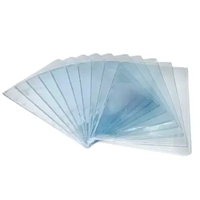 MICA VINIL ISSSTE 11.5X17.8 CASITA