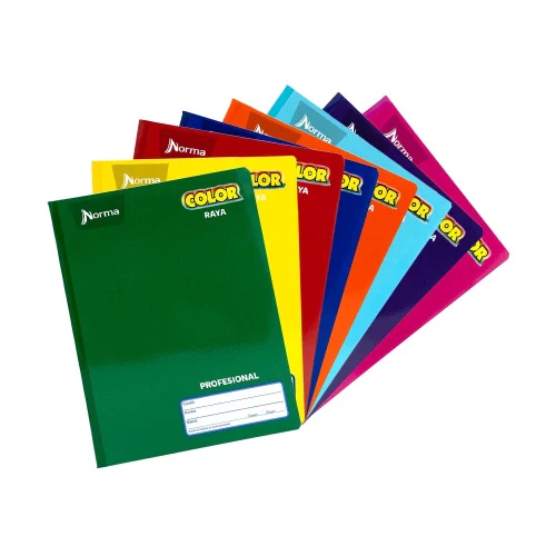 [7702111812802] CUADERNO COSIDO PROF RY 100H NORMA 360