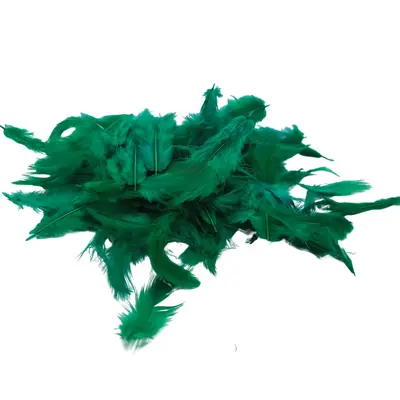 PLUMA GALLINA 10G