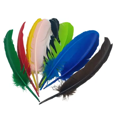 PLUMA PAVO MOD. ATQPL #8"/13" PZA