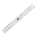 REGLA PLASTICO 30 CM LEONCITO