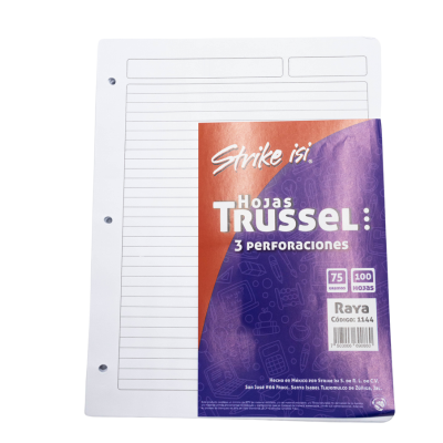 [7503006690860] REPUESTO CARPETA 75GR RY C100 TRUSSEL 1144