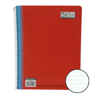 CUADERNO PROF DR 100H ROCA
