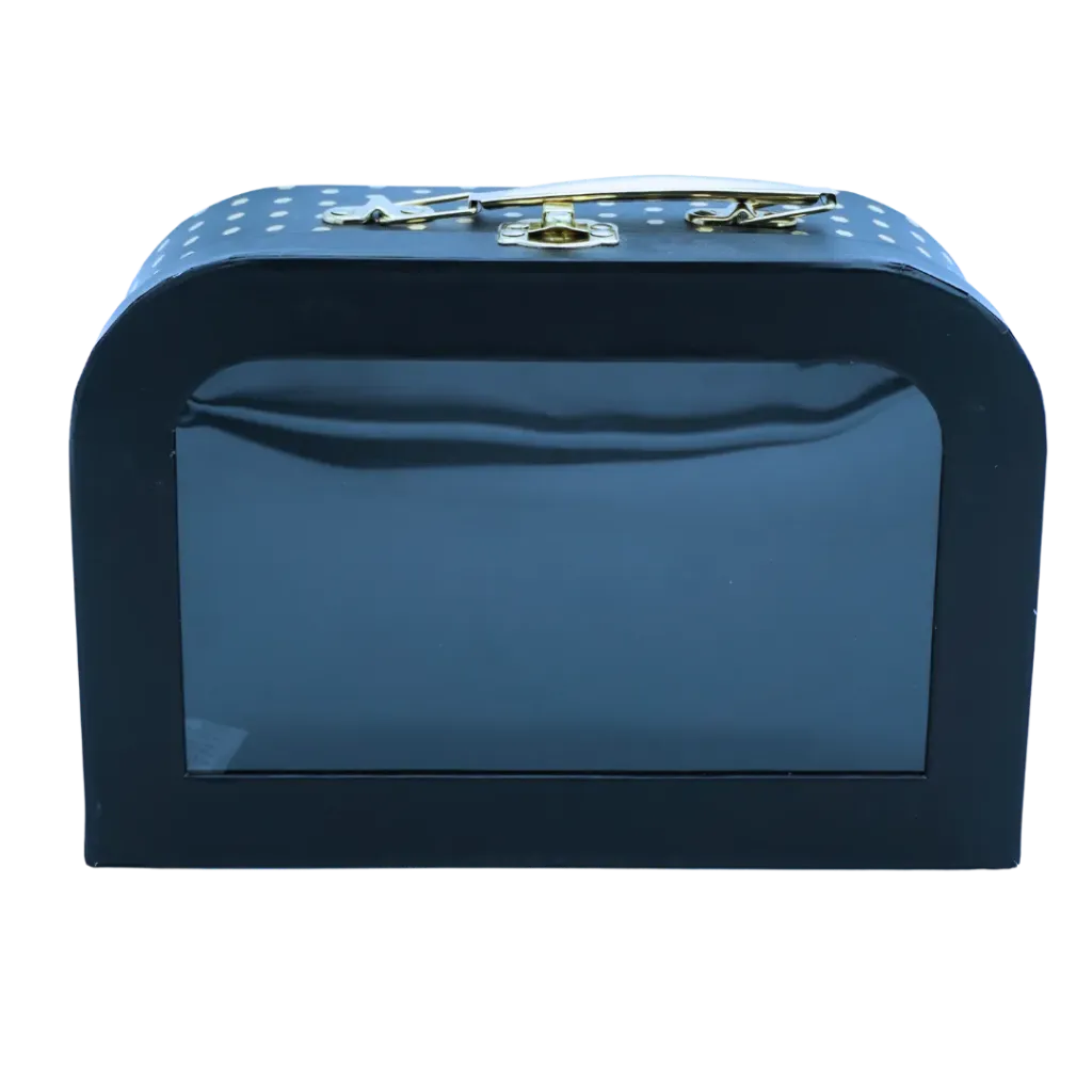 [MA4953] RB CAJA BLACK & DOTS BRIEFCASE #3