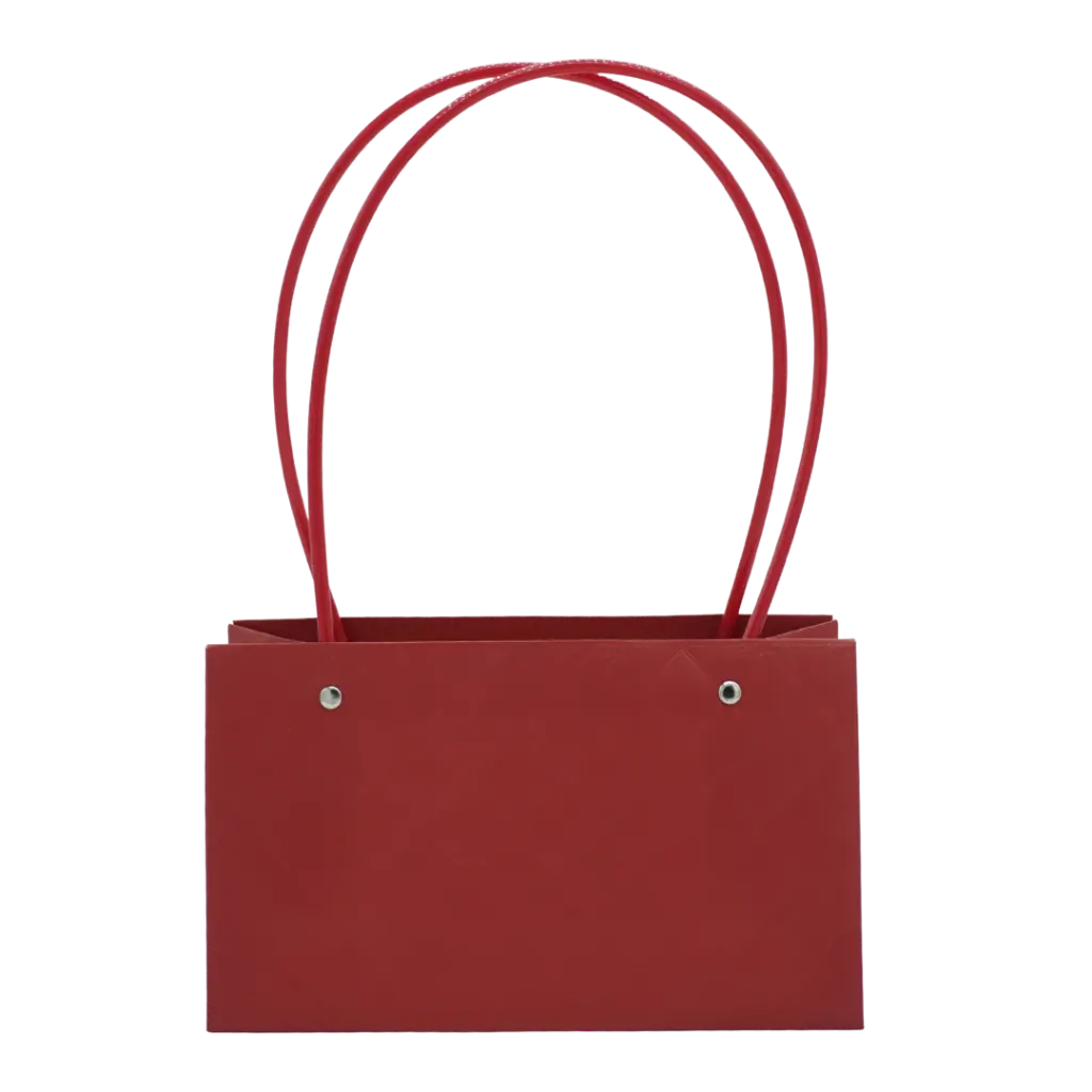 [TEM063] BOLSA REGALO BOUTIQUE ASA GRANDE