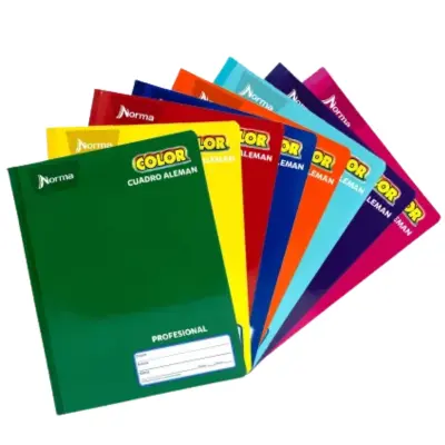 CUADERNO COSIDO PROF ALEMAN C14 100H NORMA 360