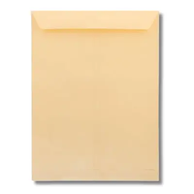 [750022231302] SOBRE MANILA CARTA ENGOMADO 22.8X30.5 MAS SOBRE