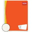 CUADERNO PROF C5 SCRIBE 100H PLUS  7972