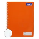 CAJA CUADERNO PROF DOBLE ESPIRAL C7 100H SAIRA C/48