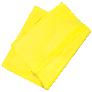 [0064] CHINA AMARILLO CANARIO 50X75 02