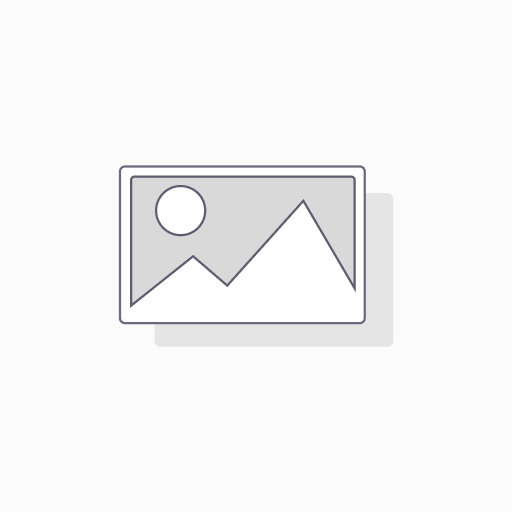 [7502224107181] PINCEL 2 PLANO ALIAMEX