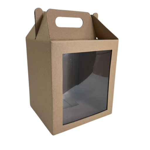 [EDR011] LONCHERA CVENTANA ACETATO 20X18X22 CARTON