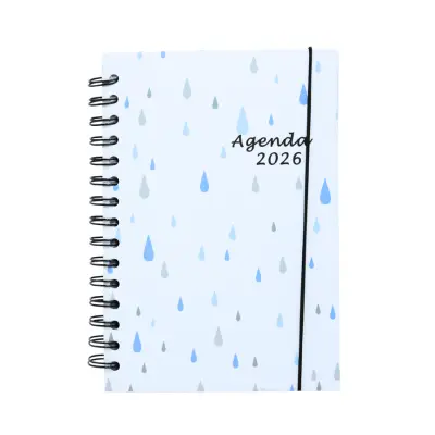 AGENDA 2026 DIA X DIA ESPIRAL D'NOVAC