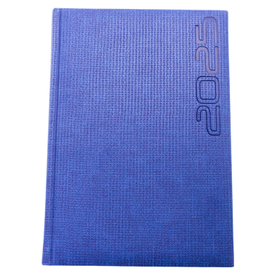 [7502278545830] AGENDA 2025 DIARIA RIVOLI AZUL AD-5095
