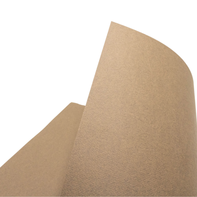[3148953314847] PAPEL MI TEINTES 50X65 160GR MARRON CANSON 501